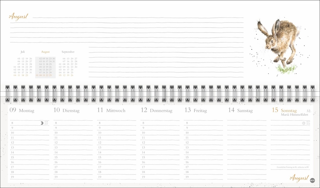 Weitere Ansicht: Hannah Dale : Wochenquerplaner 2027 | Hannah Dale