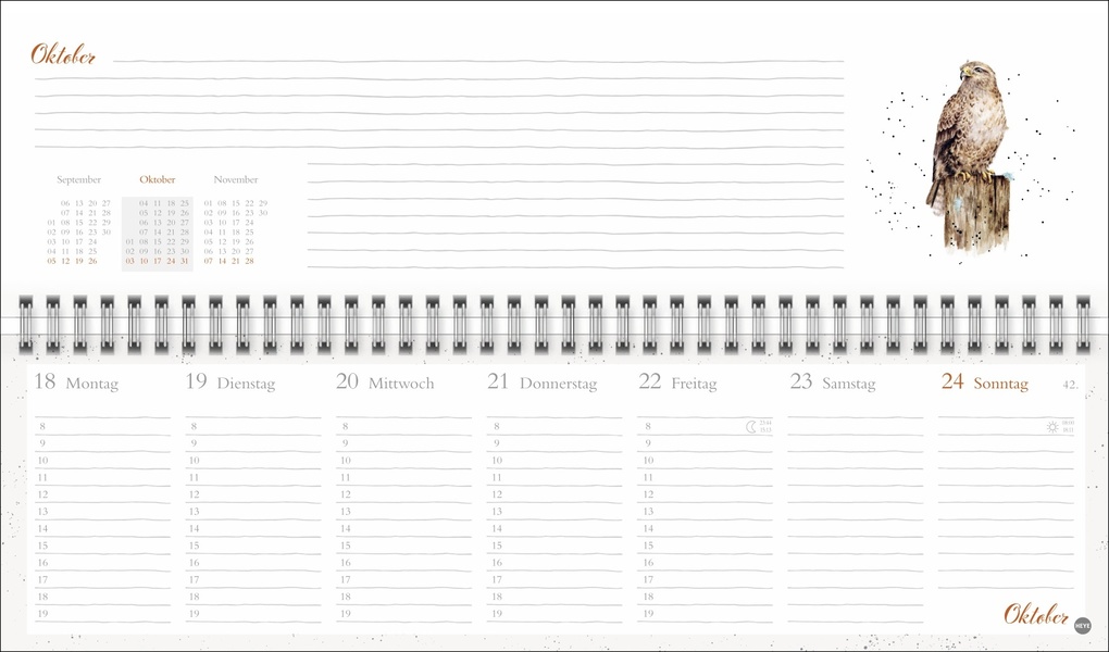 Weitere Ansicht: Hannah Dale : Wochenquerplaner 2027 | Hannah Dale