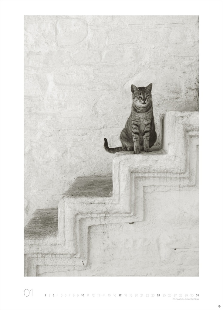 Weitere Ansicht: Cats Edition Kalender 2027