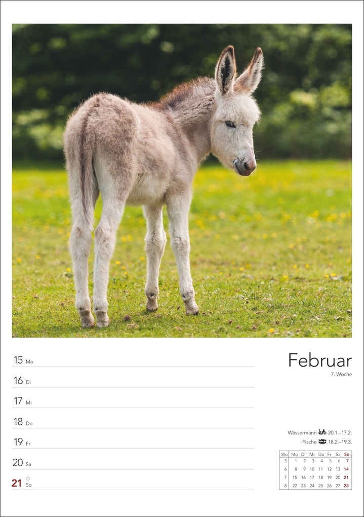 Weitere Ansicht: Landleben Wochenplaner 2027