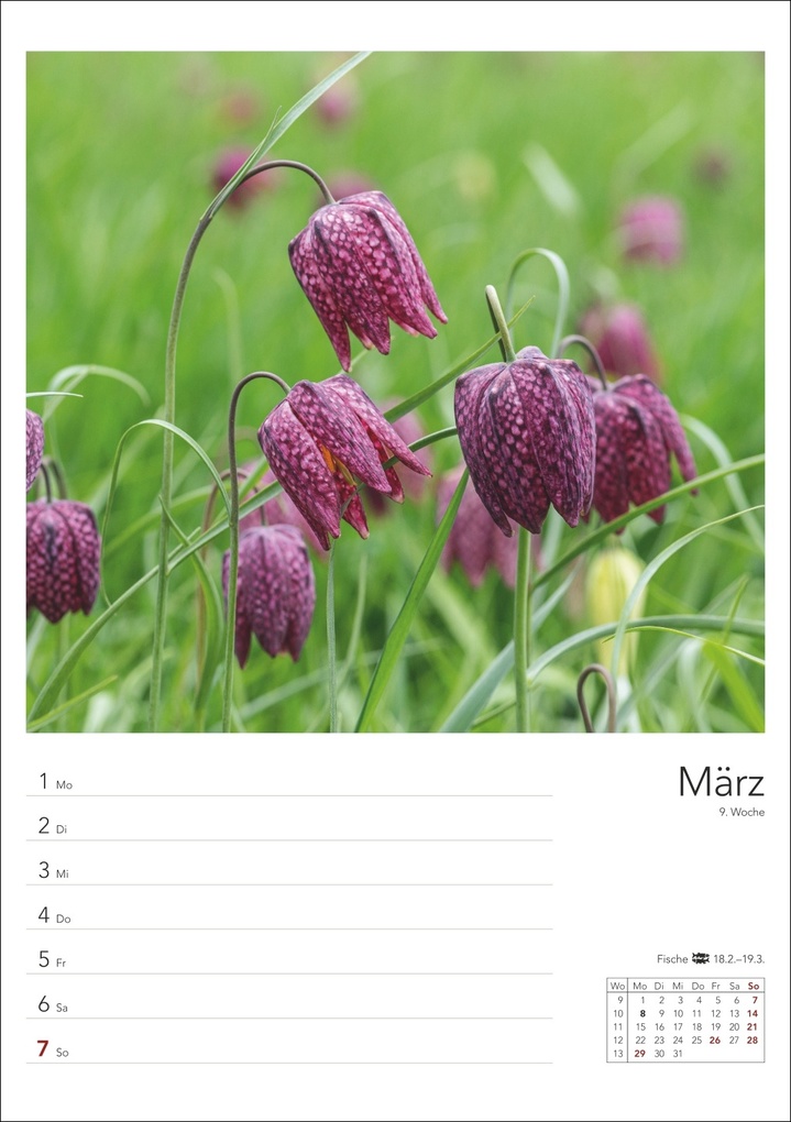 Weitere Ansicht: Landleben Wochenplaner 2027