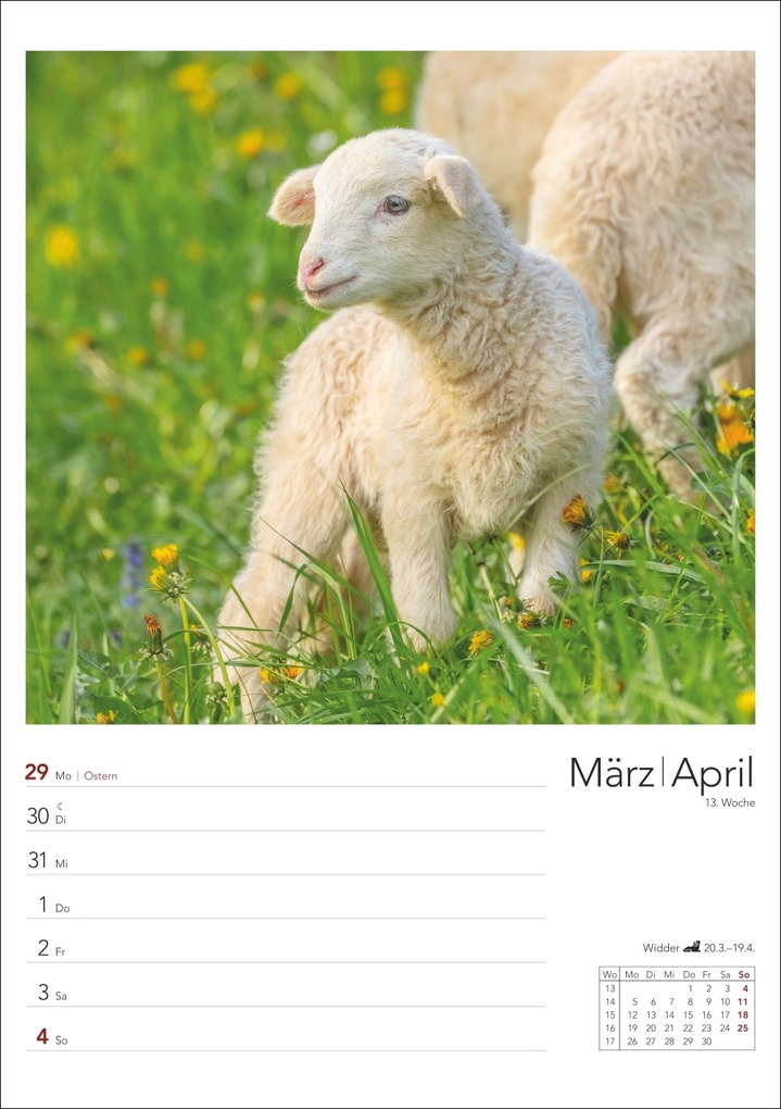 Weitere Ansicht: Landleben Wochenplaner 2027