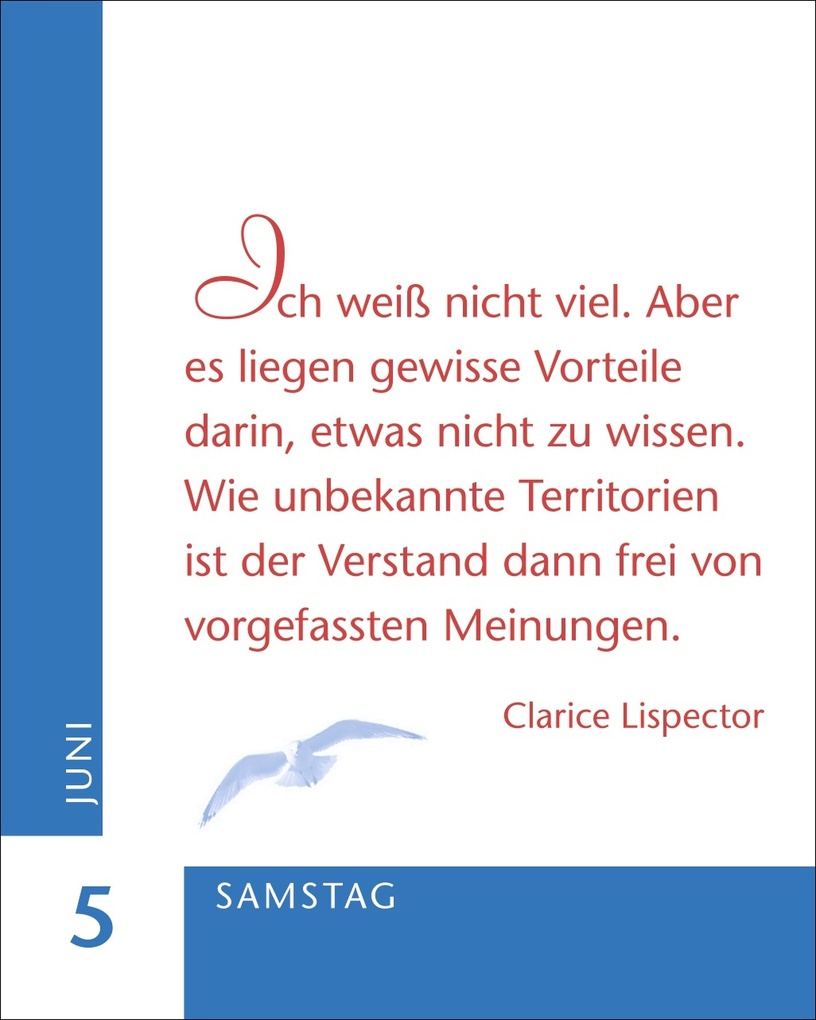 Weitere Ansicht: Ein Jahr der Zuversicht Mini-Geschenkkalender 2027 | Julia Linne