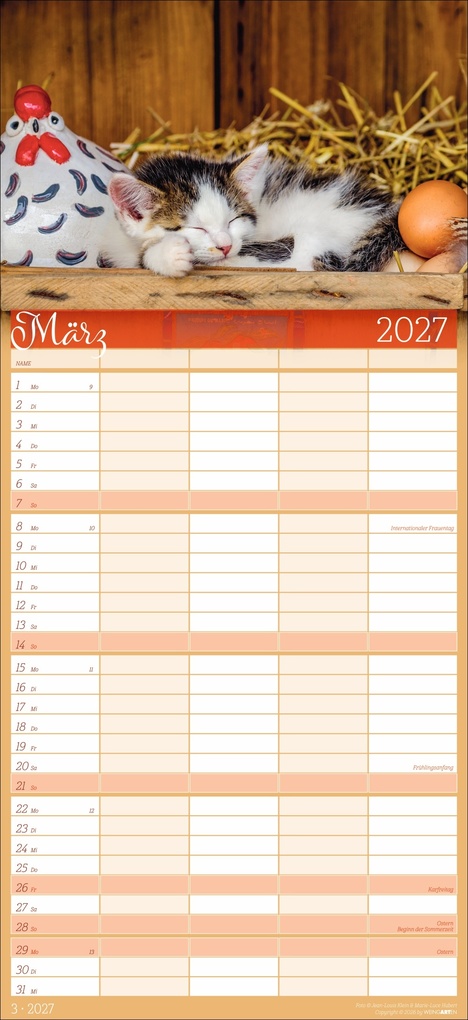 Weitere Ansicht: Cool Cats Familienplaner 2027