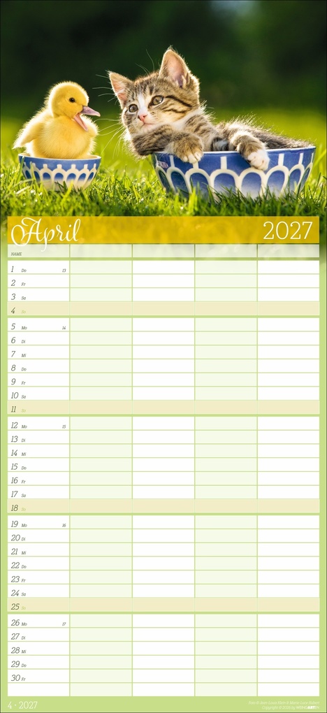 Weitere Ansicht: Cool Cats Familienplaner 2027