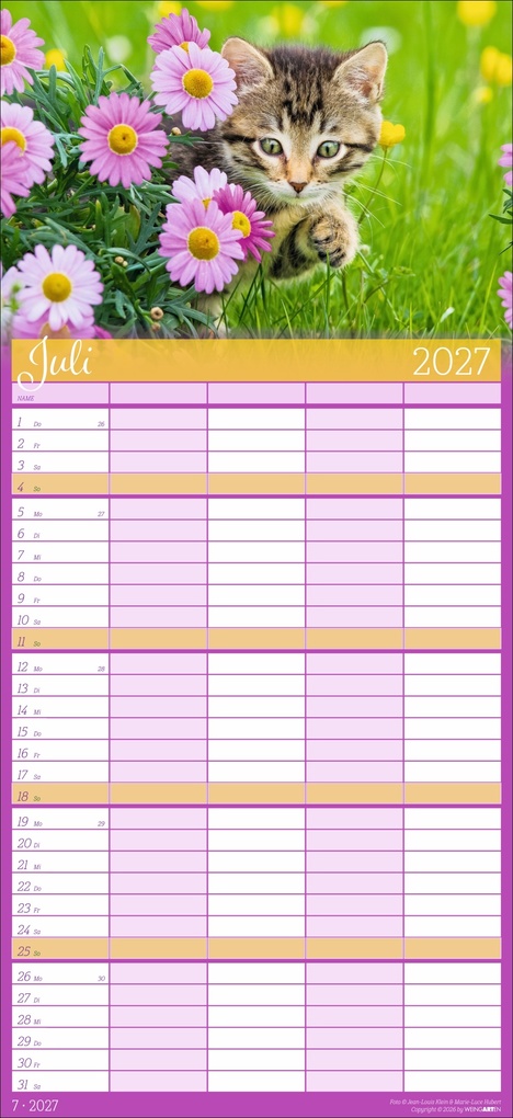 Weitere Ansicht: Cool Cats Familienplaner 2027