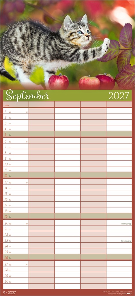 Weitere Ansicht: Cool Cats Familienplaner 2027