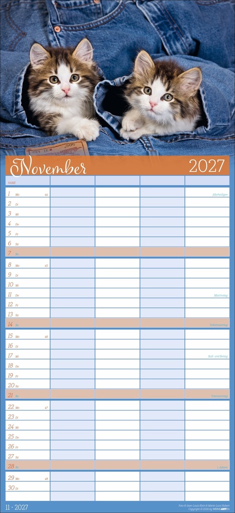 Weitere Ansicht: Cool Cats Familienplaner 2027