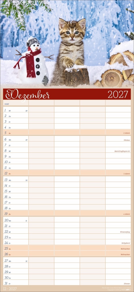 Weitere Ansicht: Cool Cats Familienplaner 2027