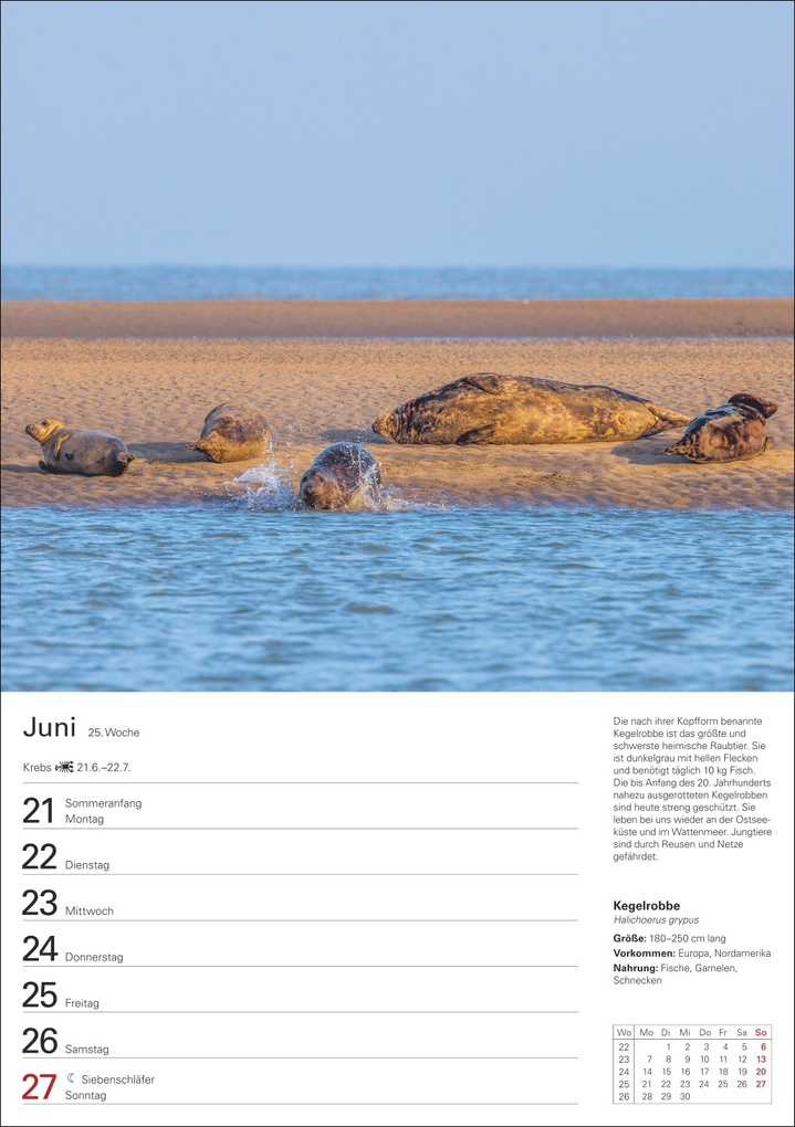 Weitere Ansicht: Heimische Tiere Wochenplaner 2027 - 53 faszinierende Fotografien | Markus Hattstein