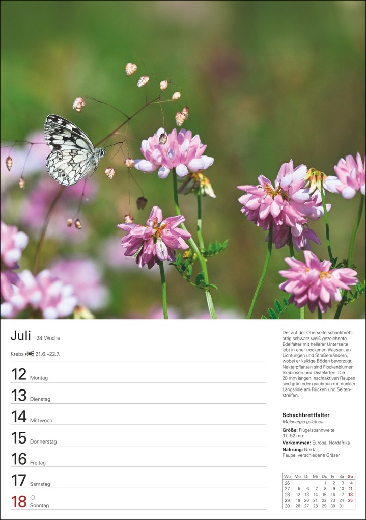 Weitere Ansicht: Heimische Tiere Wochenplaner 2027 - 53 faszinierende Fotografien | Markus Hattstein