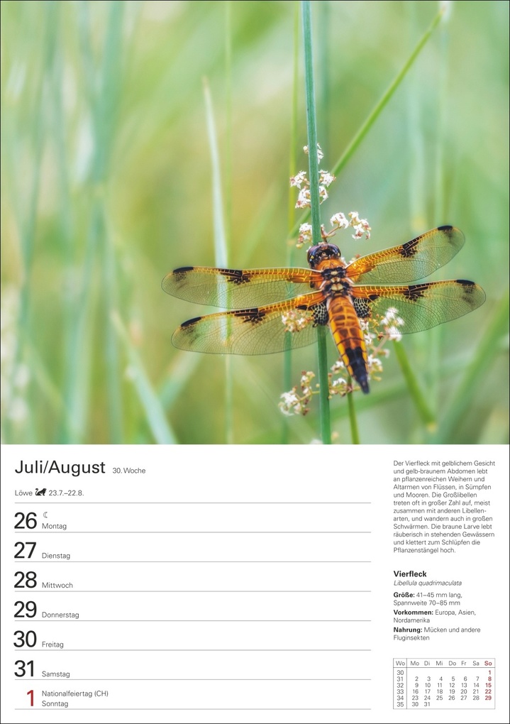 Weitere Ansicht: Heimische Tiere Wochenplaner 2027 - 53 faszinierende Fotografien | Markus Hattstein