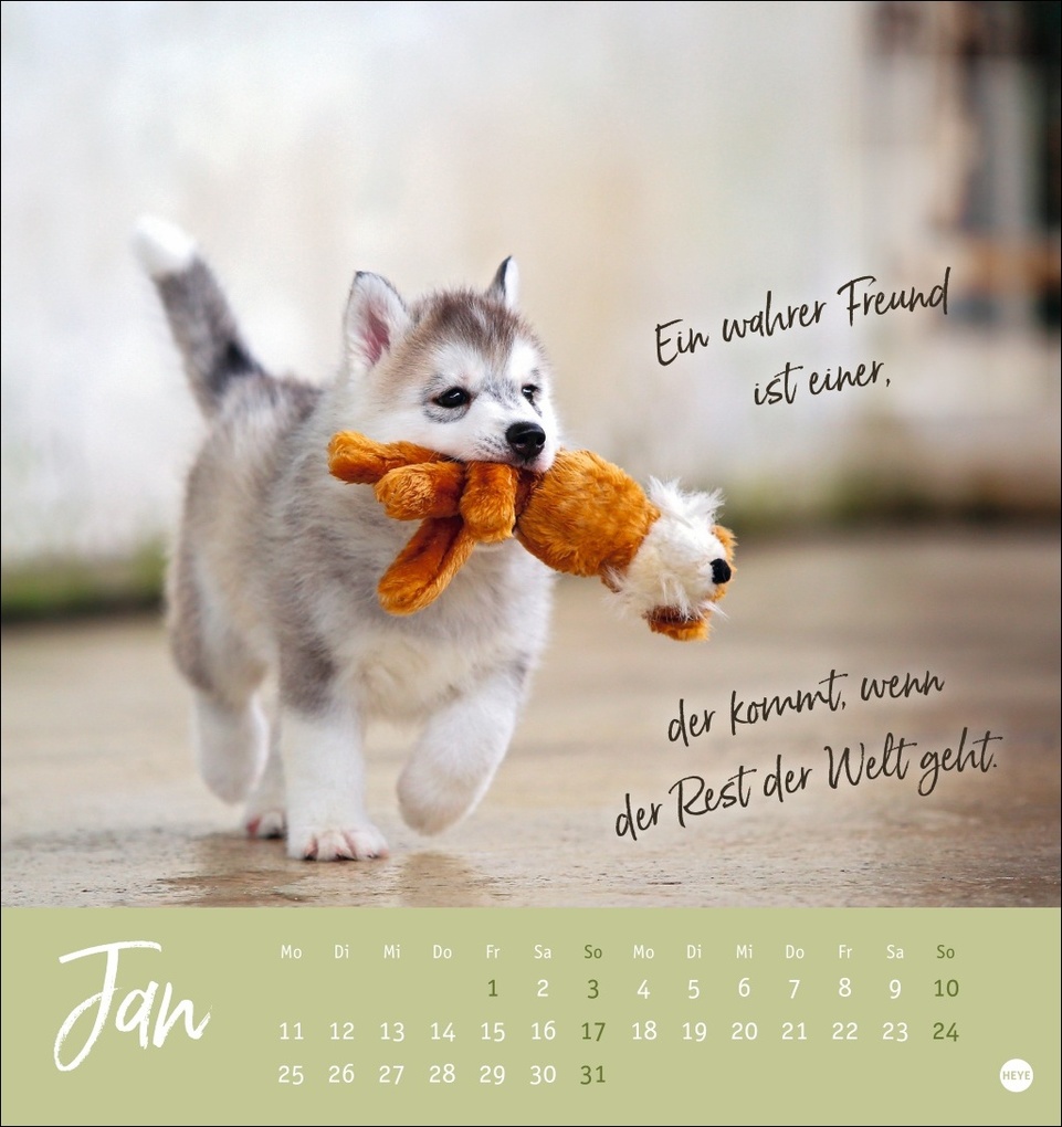 Weitere Ansicht: Ziemlich beste Freunde Postkartenkalender 2027 - Für immer dein