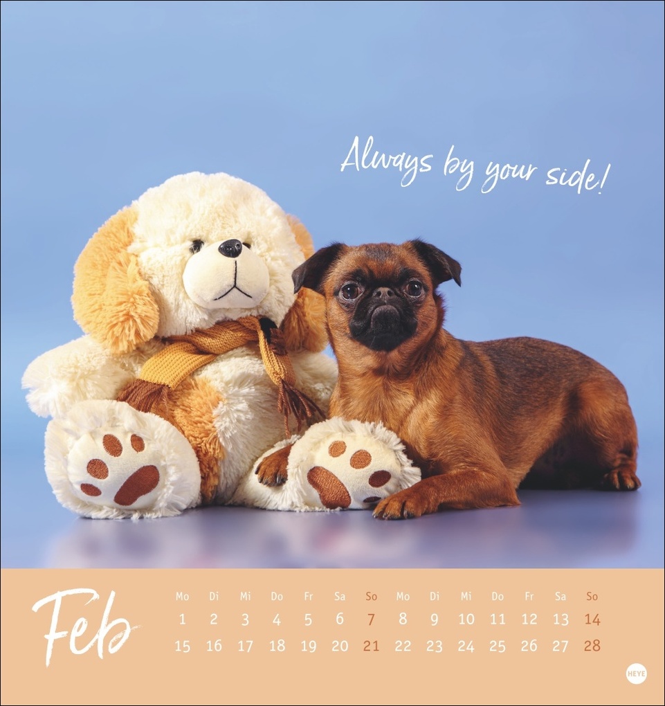 Weitere Ansicht: Ziemlich beste Freunde Postkartenkalender 2027 - Für immer dein