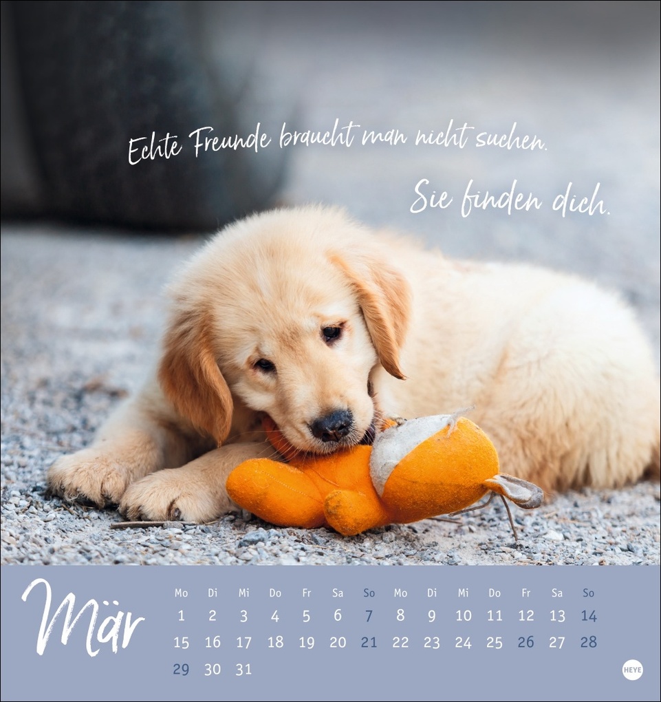 Weitere Ansicht: Ziemlich beste Freunde Postkartenkalender 2027 - Für immer dein