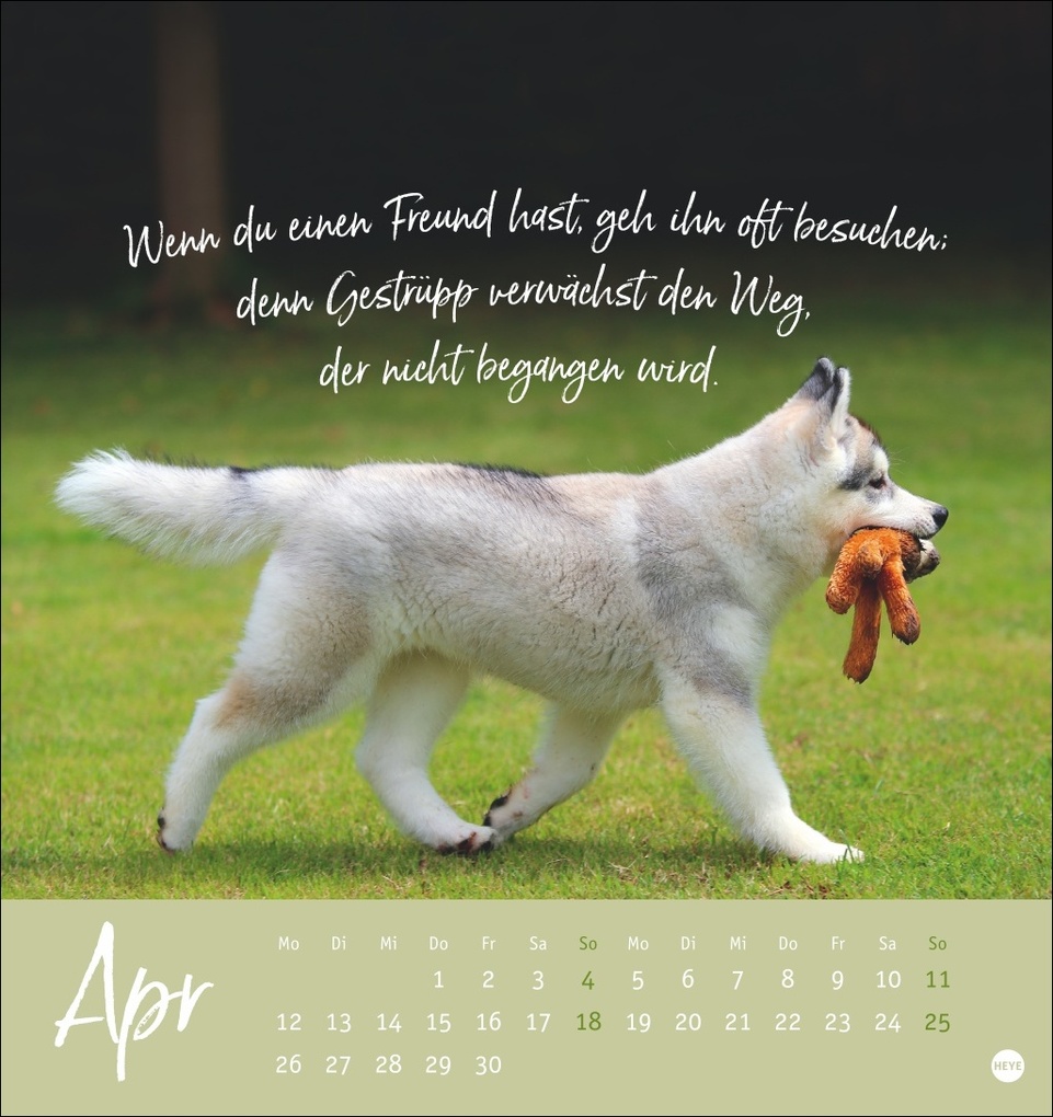 Weitere Ansicht: Ziemlich beste Freunde Postkartenkalender 2027 - Für immer dein