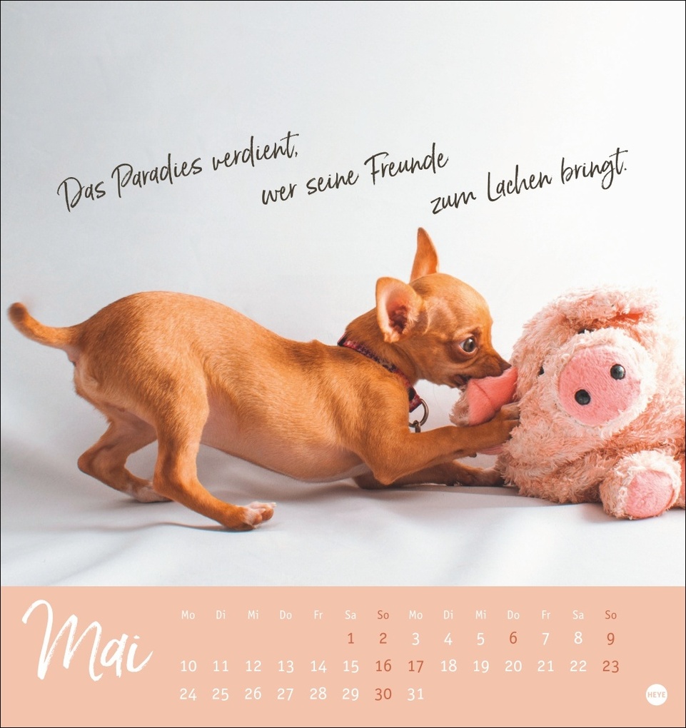 Weitere Ansicht: Ziemlich beste Freunde Postkartenkalender 2027 - Für immer dein