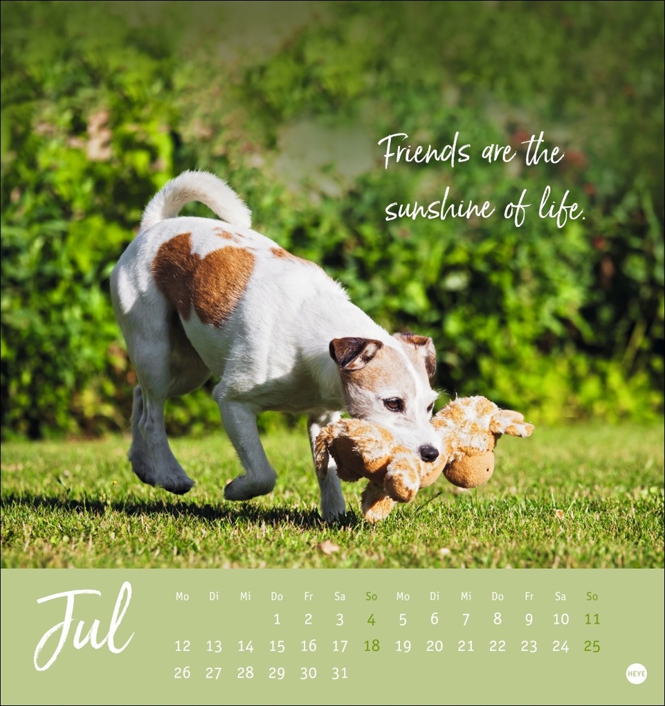 Weitere Ansicht: Ziemlich beste Freunde Postkartenkalender 2027 - Für immer dein