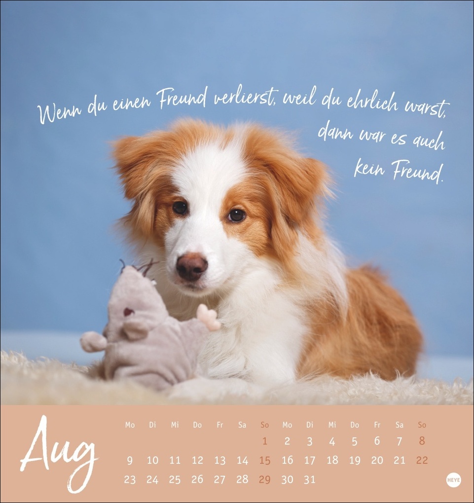 Weitere Ansicht: Ziemlich beste Freunde Postkartenkalender 2027 - Für immer dein