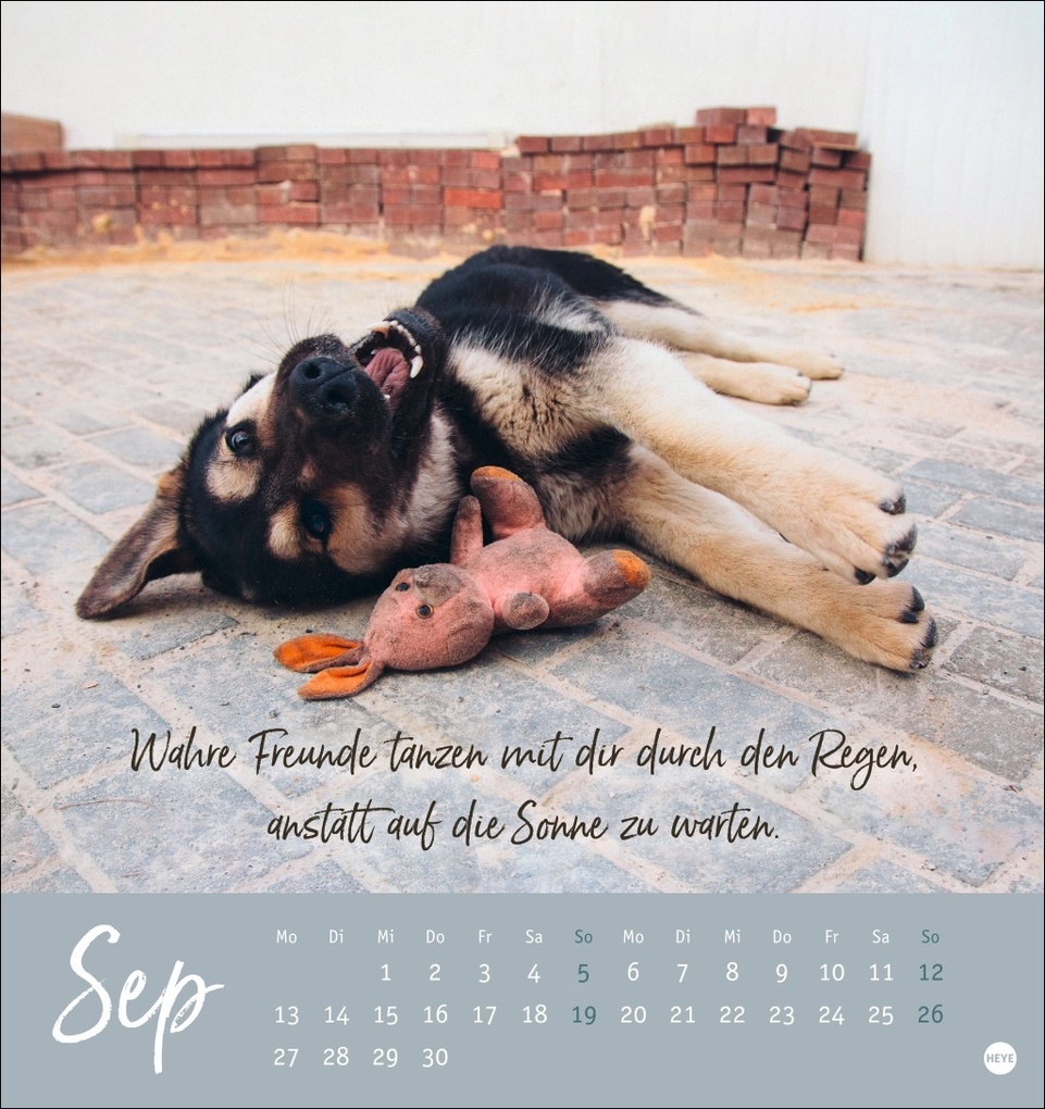 Weitere Ansicht: Ziemlich beste Freunde Postkartenkalender 2027 - Für immer dein