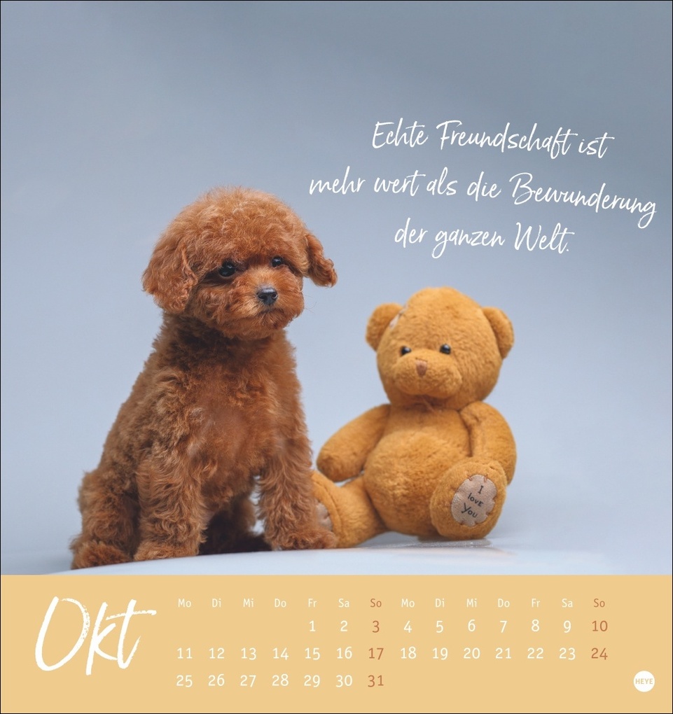 Weitere Ansicht: Ziemlich beste Freunde Postkartenkalender 2027 - Für immer dein