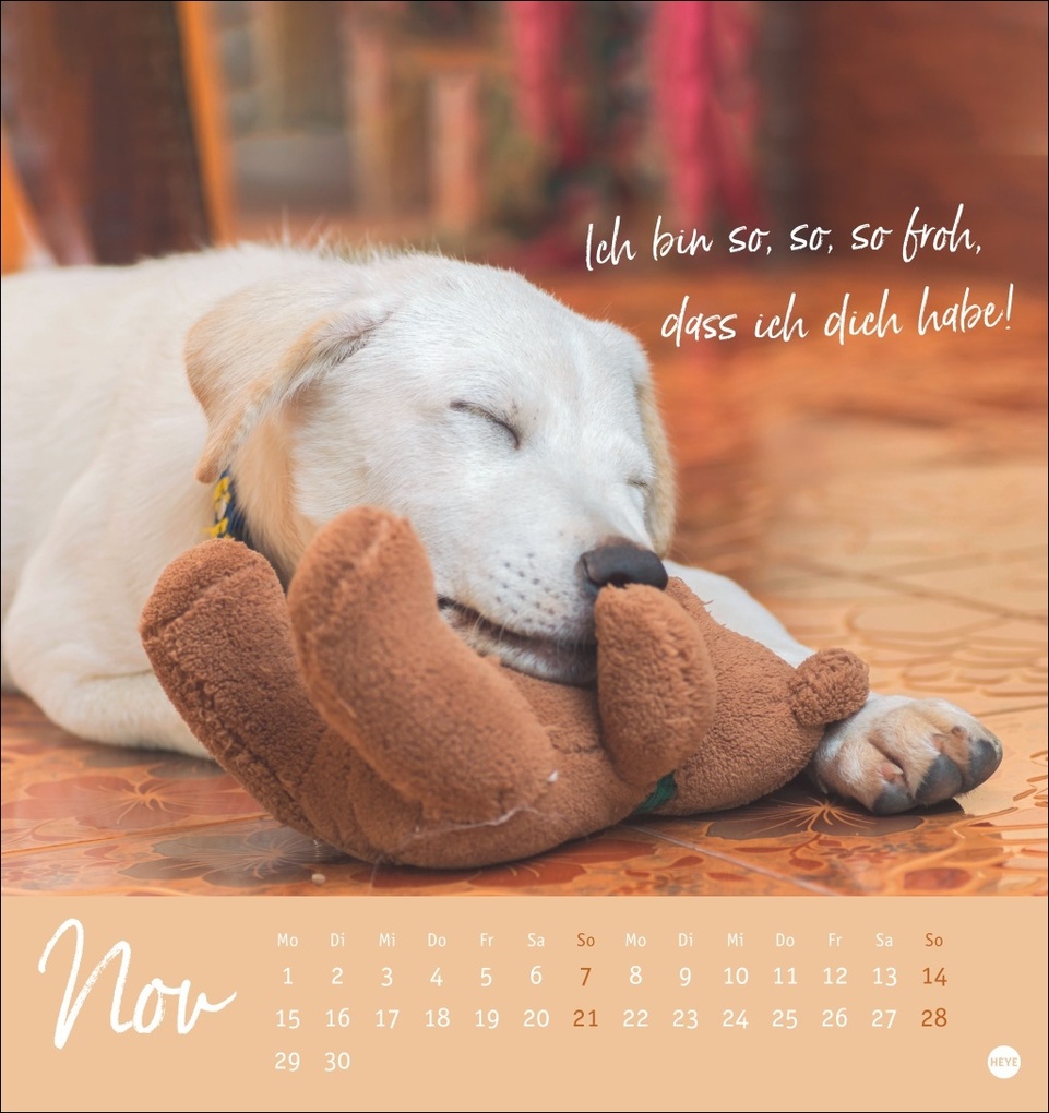 Weitere Ansicht: Ziemlich beste Freunde Postkartenkalender 2027 - Für immer dein