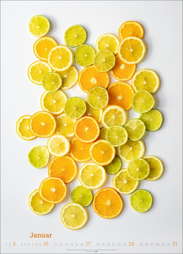 Weitere Ansicht: Fresh Food Kalender 2027