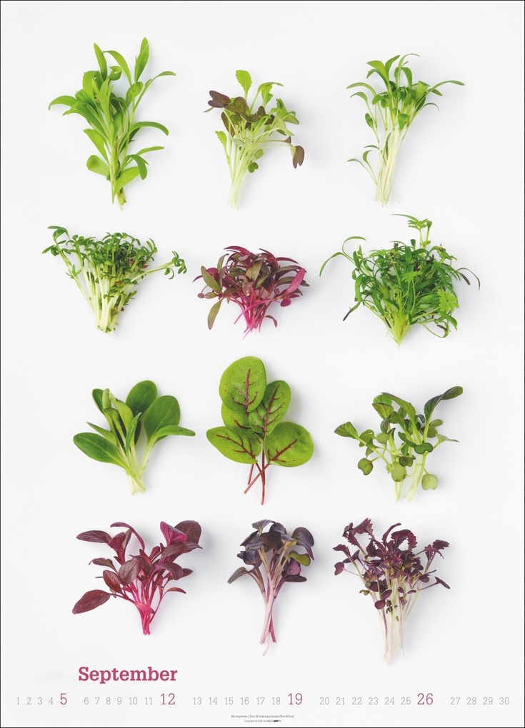 Weitere Ansicht: Fresh Food Kalender 2027