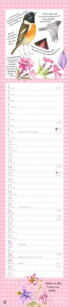 Weitere Ansicht: Marjolein Bastin: Die bunte Vogelwelt Langplaner 2027 | Marjolein Bastin