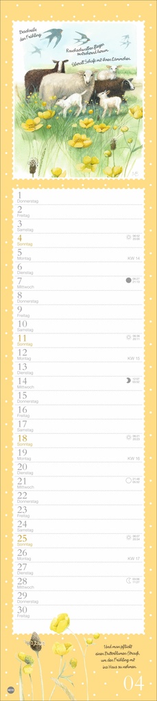 Weitere Ansicht: Marjolein Bastin: Die bunte Vogelwelt Langplaner 2027 | Marjolein Bastin