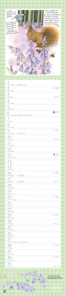 Weitere Ansicht: Marjolein Bastin: Die bunte Vogelwelt Langplaner 2027 | Marjolein Bastin