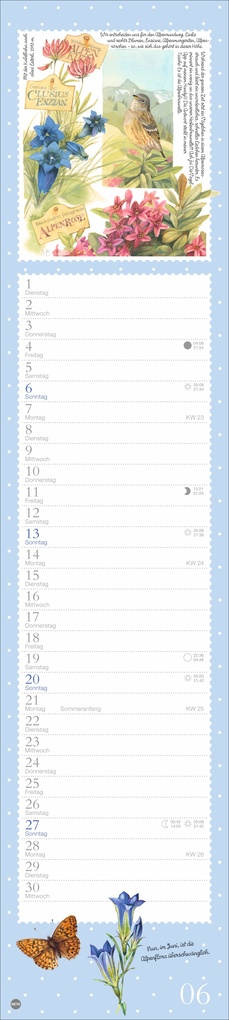 Weitere Ansicht: Marjolein Bastin: Die bunte Vogelwelt Langplaner 2027 | Marjolein Bastin