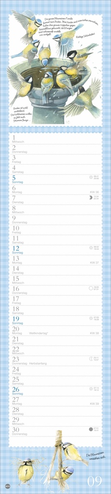 Weitere Ansicht: Marjolein Bastin: Die bunte Vogelwelt Langplaner 2027 | Marjolein Bastin