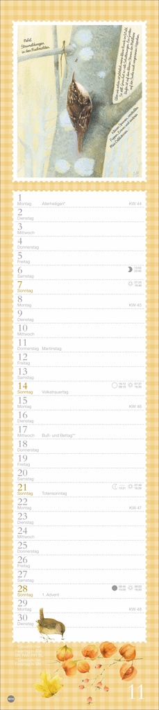 Weitere Ansicht: Marjolein Bastin: Die bunte Vogelwelt Langplaner 2027 | Marjolein Bastin