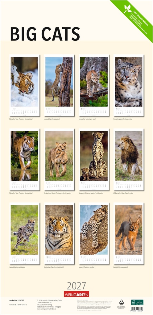 Weitere Ansicht: Big Cats Kalender 2027