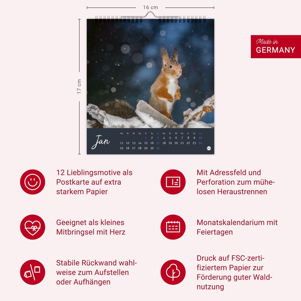 Weitere Ansicht: Eichhörnchen Postkartenkalender 2027