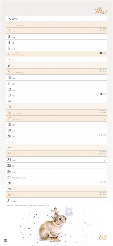 Weitere Ansicht: Hannah Dale: Planer für zwei 2027 | Hannah Dale