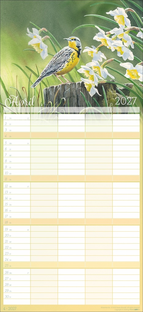 Weitere Ansicht: Bunte Vogelwelt Familienplaner 2027 | Susan Bourdet