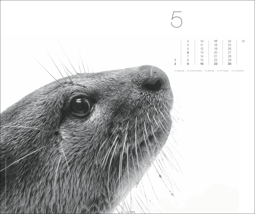 Weitere Ansicht: Black & White Animals 2027