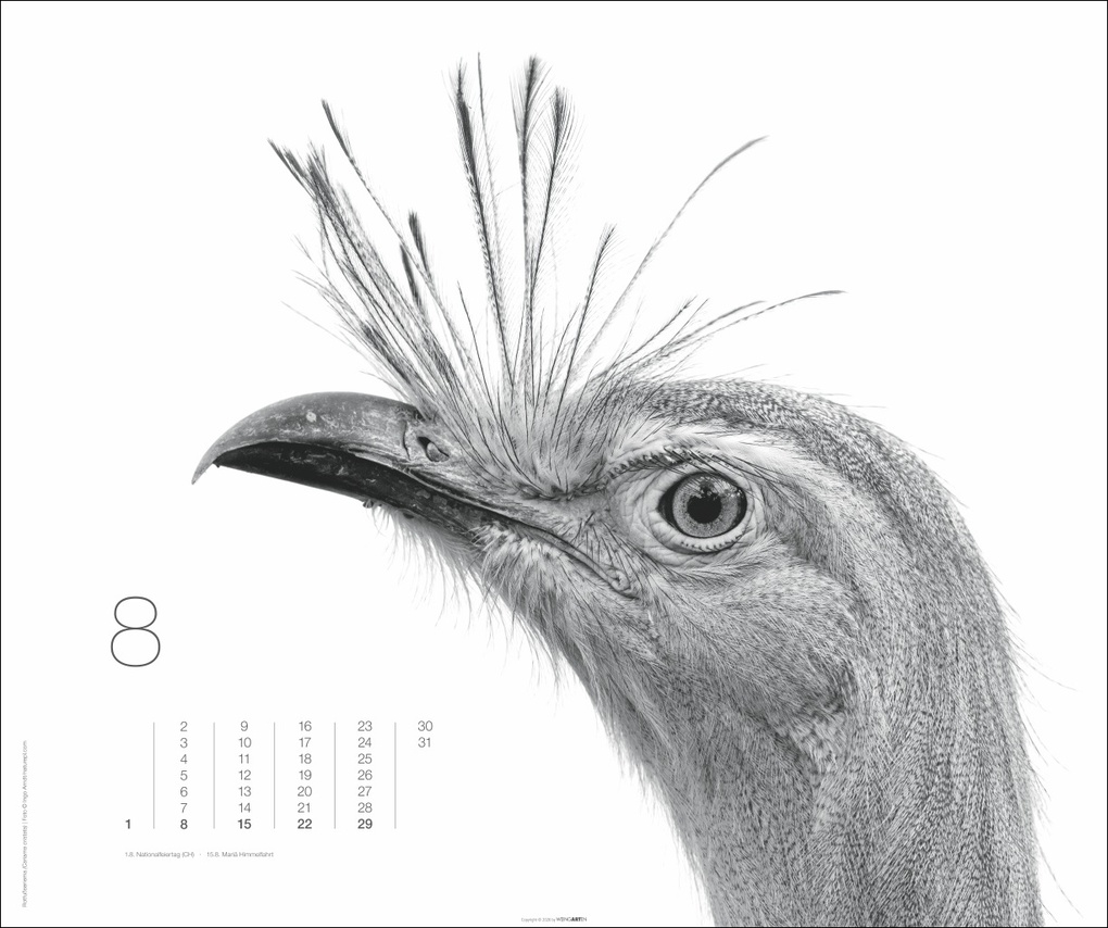 Weitere Ansicht: Black & White Animals 2027