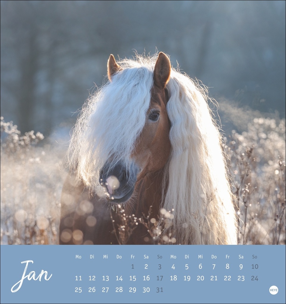 Weitere Ansicht: Pferde Postkartenkalender 2027 - Starke Freunde