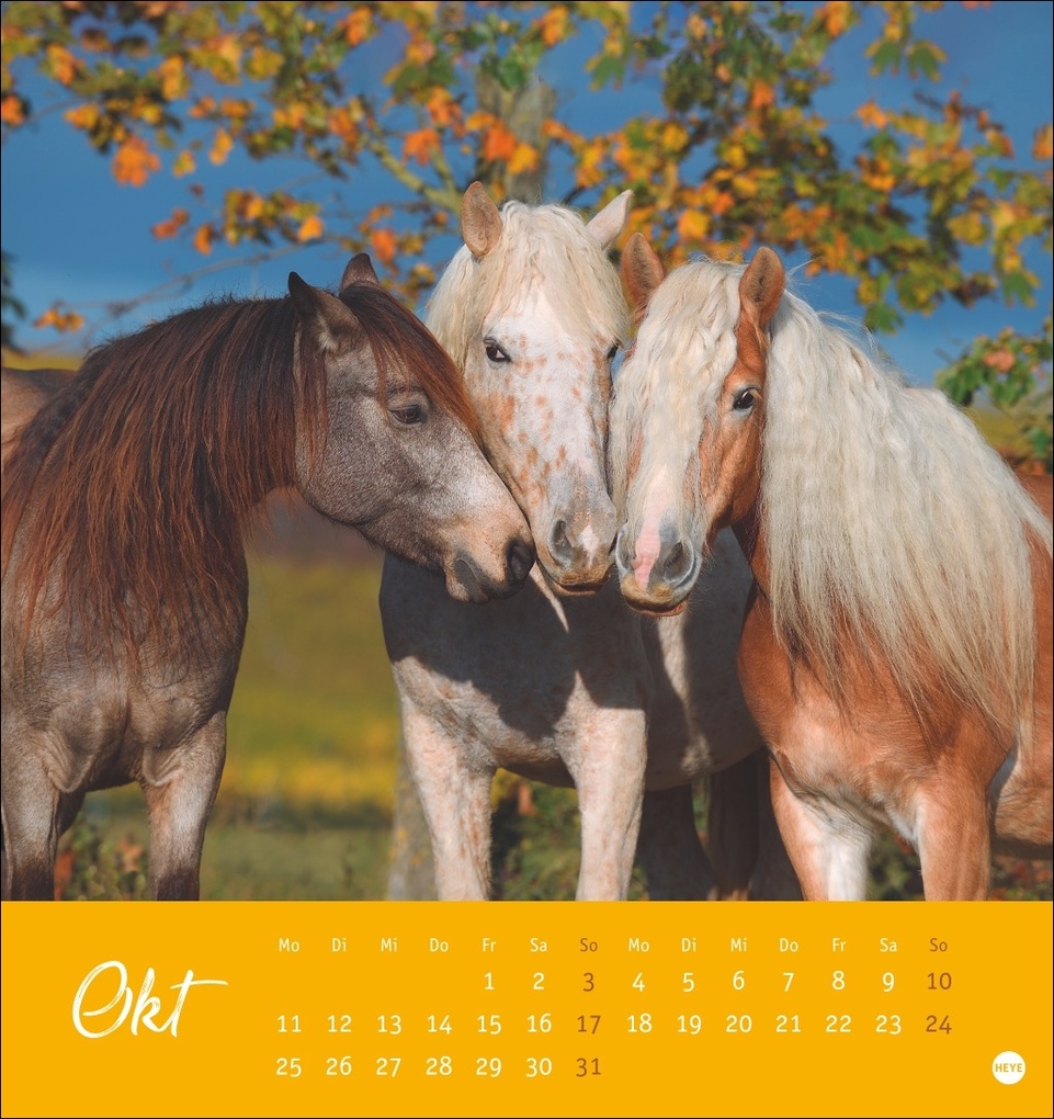 Weitere Ansicht: Pferde Postkartenkalender 2027 - Starke Freunde