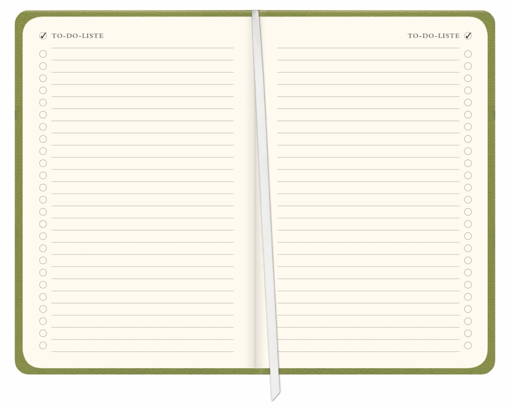 Weitere Ansicht: Diario Wochen-Kalenderbuch A6, grün 2027