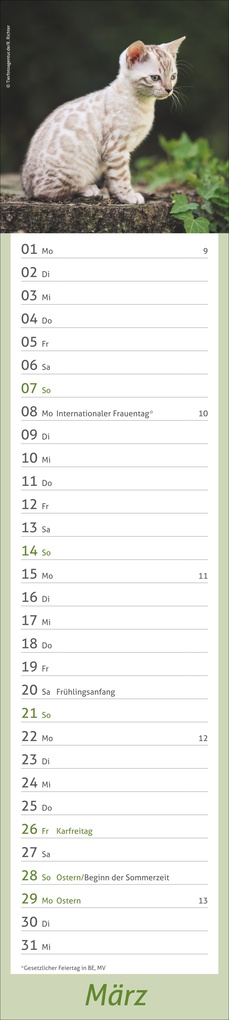 Weitere Ansicht: times&more Katzen Langplaner 2027