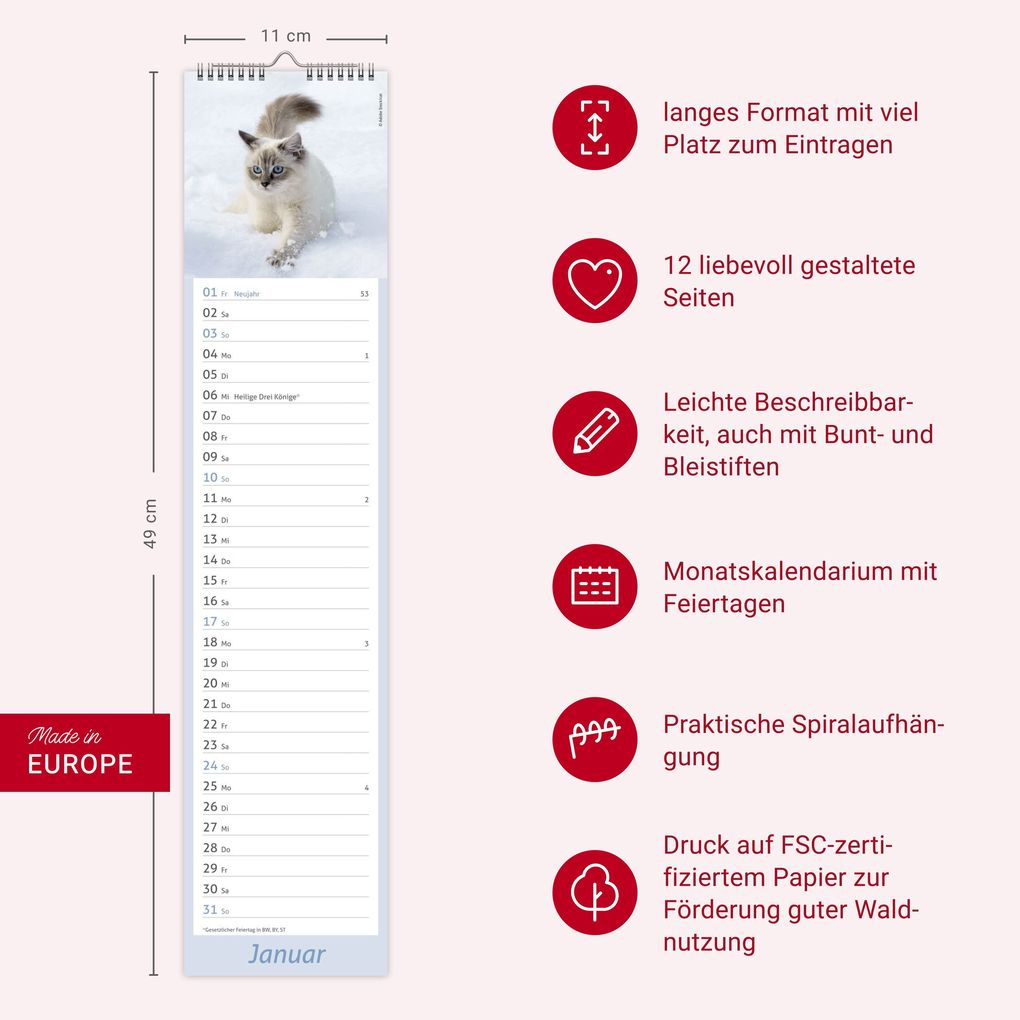 Weitere Ansicht: times&more Katzen Langplaner 2027