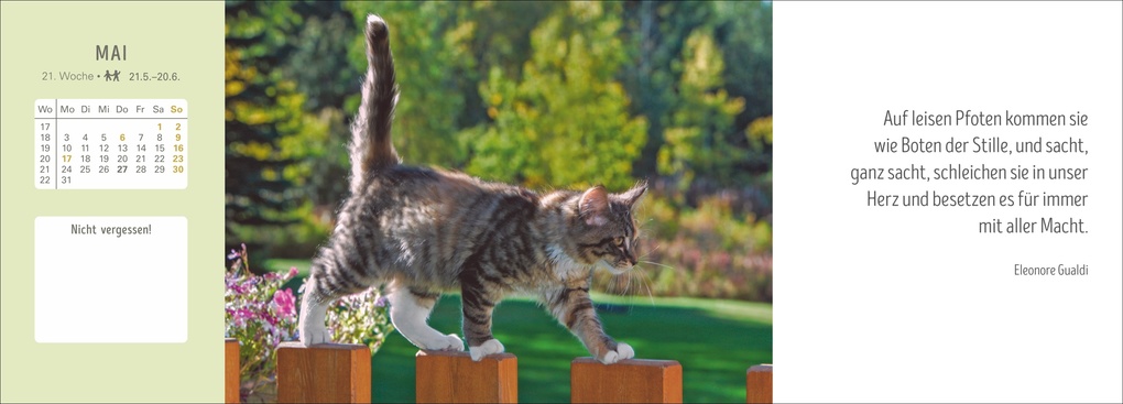 Weitere Ansicht: Katzen Premium-Tischplaner 2027 - Der literarische Wochenkalender mit Zitaten
