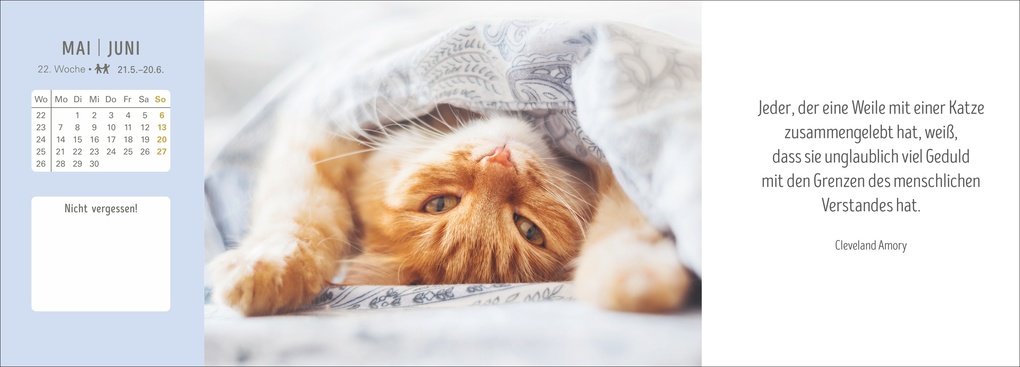 Weitere Ansicht: Katzen Premium-Tischplaner 2027 - Der literarische Wochenkalender mit Zitaten