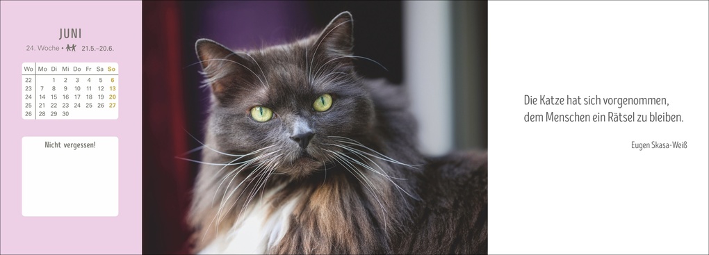 Weitere Ansicht: Katzen Premium-Tischplaner 2027 - Der literarische Wochenkalender mit Zitaten