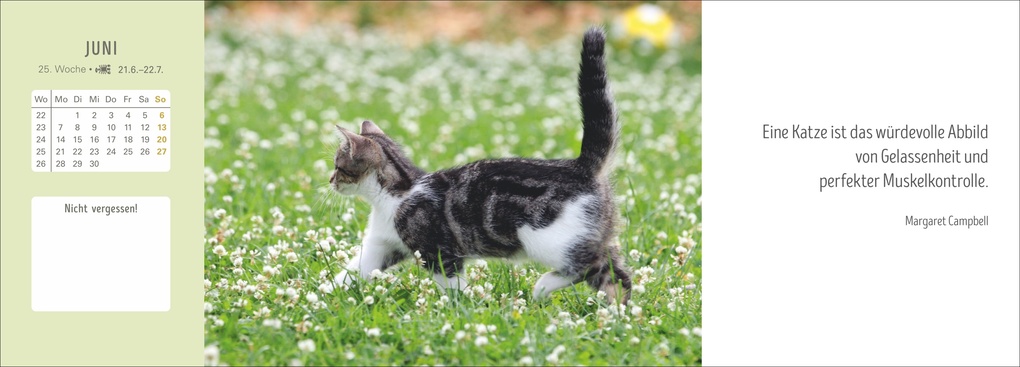 Weitere Ansicht: Katzen Premium-Tischplaner 2027 - Der literarische Wochenkalender mit Zitaten