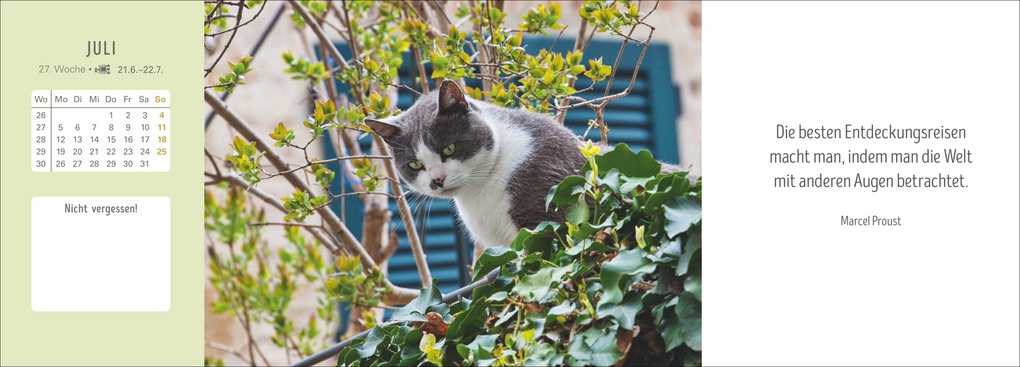 Weitere Ansicht: Katzen Premium-Tischplaner 2027 - Der literarische Wochenkalender mit Zitaten